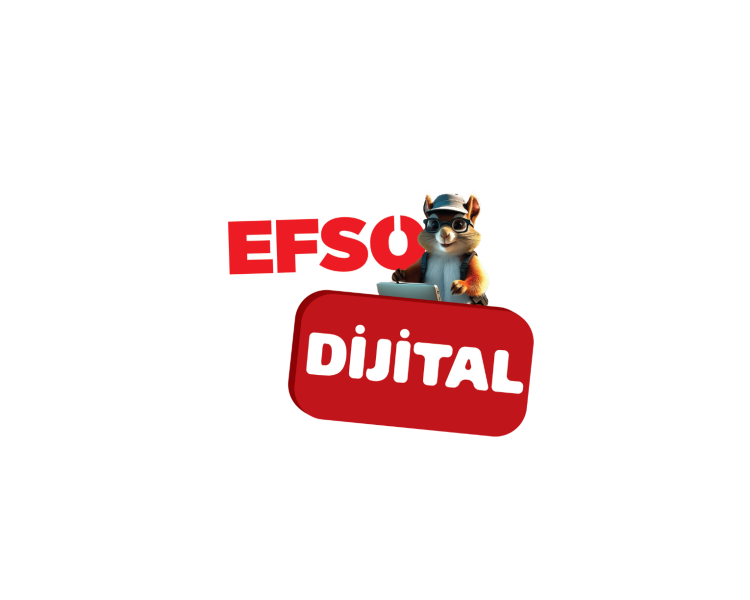 Ankara butik yazılım ajansı müşteri referansı – Efso Dijital firmasının dijital dönüşüm projesi